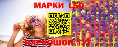 дмт Краснодар