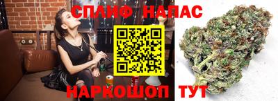 дмт Краснодар