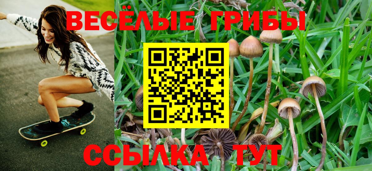 Галлюциногенные грибы Magic Shrooms  Вход с VPN  Красноармейск 